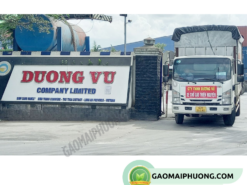 công ty gạo dương vũ