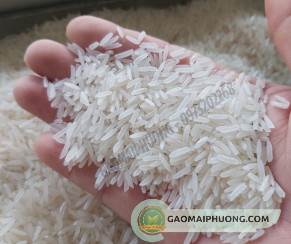 Gao Tam Thom Gạo tám thơm