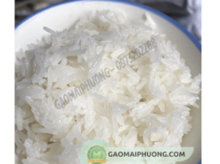 gạo tám thơm khi nấu