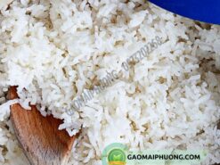 cơm nấu từ gạo khang dân