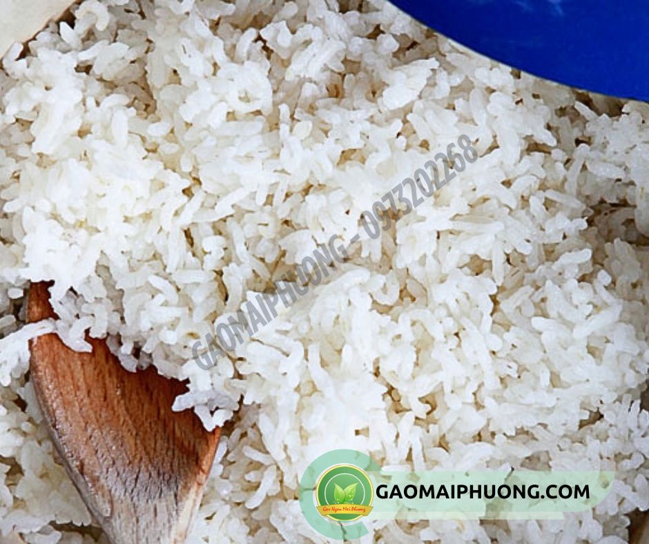 com nau tu gao khang dan cơm nấu từ gạo khang dân