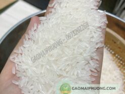 gạo bắc hương