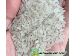 gạo bắc hương hạt to tròn