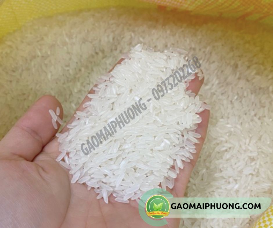 gao xi deo hat deu gạo xi dẻo hạt đều, không vỡ