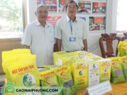 hội lương thực việt nam chứng nhận gạo ông cua lúa tôm st25