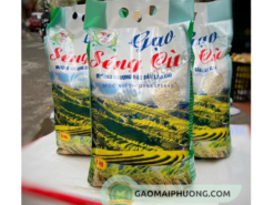 bao bì gạo séng cù