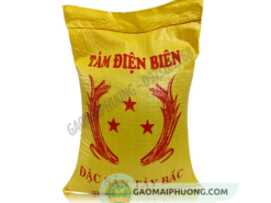 bao bi gao tam dien bien