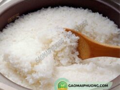 cơm nấu từ gạo 504