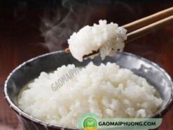 cơm nấu từ gạo Q5