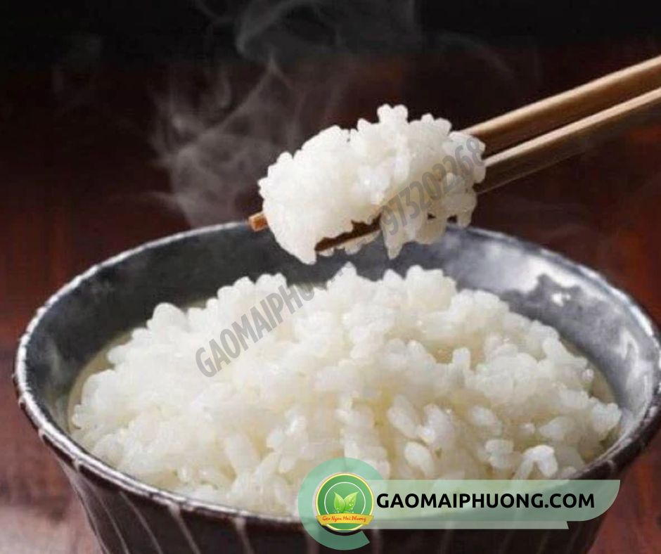 com nau tu gao Q5 cơm nấu từ gạo Q5