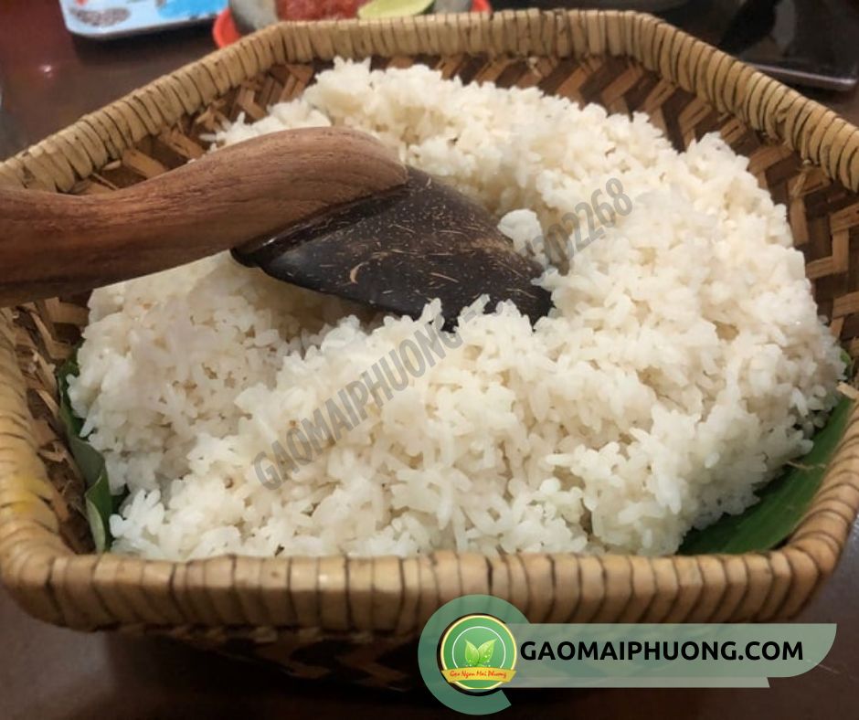 com nau tu gao huu co cơm nấu từ gạo hữu cơ