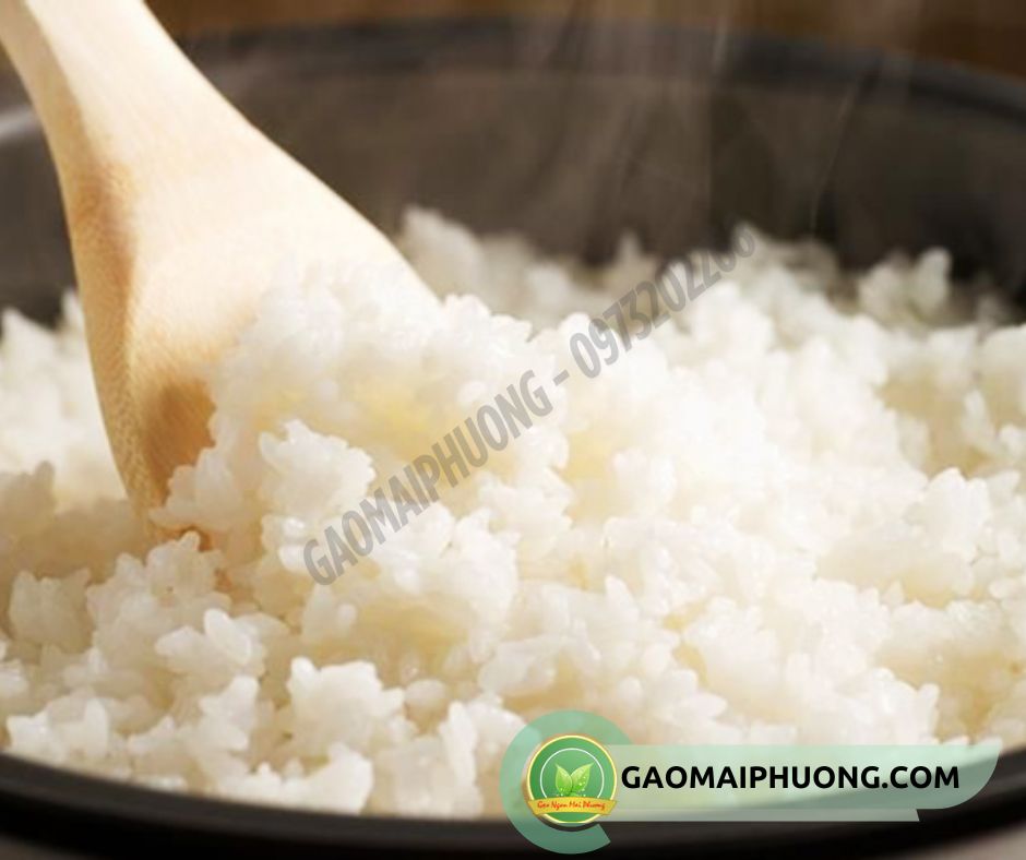 com nau tu gao tam thai lan