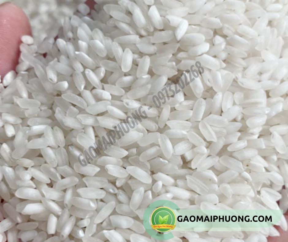 gao ham chau 95 gạo hàm châu 95