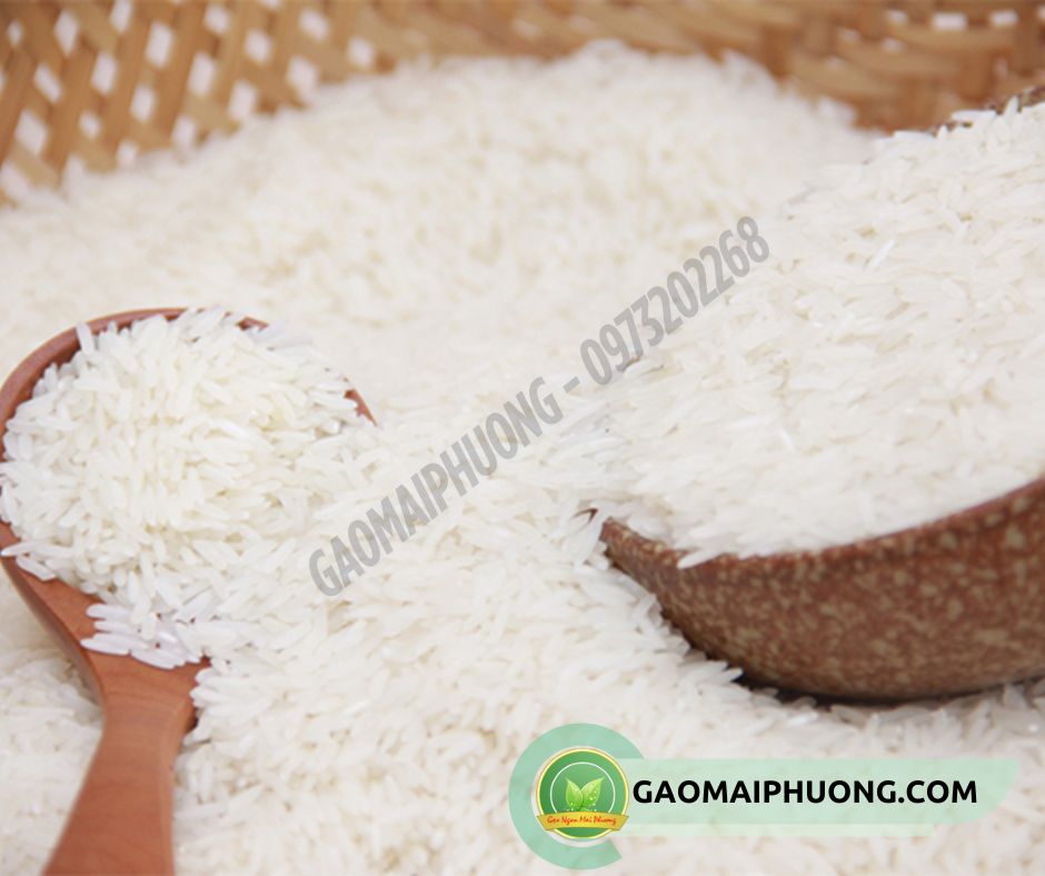 gao ham chau chinh hang gạo hàm châu 95 chính hãng