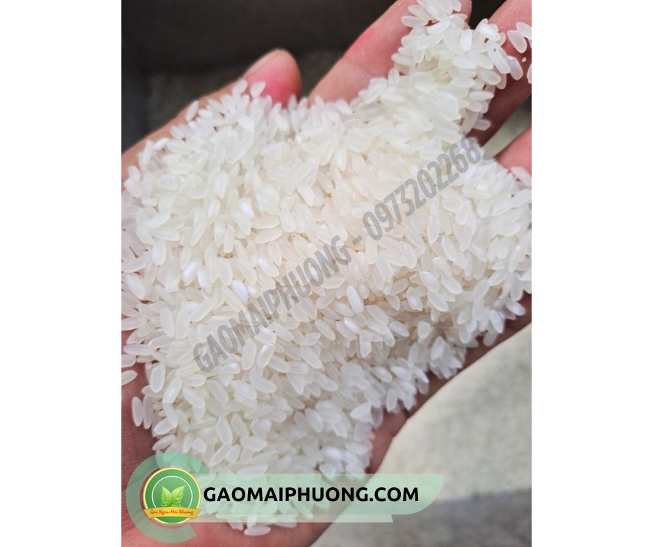 gao ham chau gạo hàm châu chất lượng