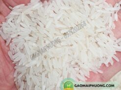 gạo ông cua lúa tôm ST25