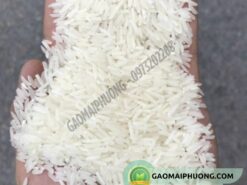 gạo tám đài loan