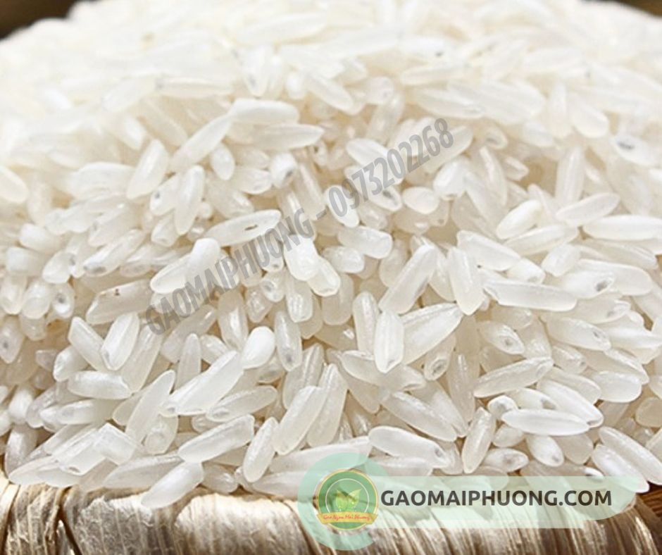 gao tam dien bien gạo tám điện biên