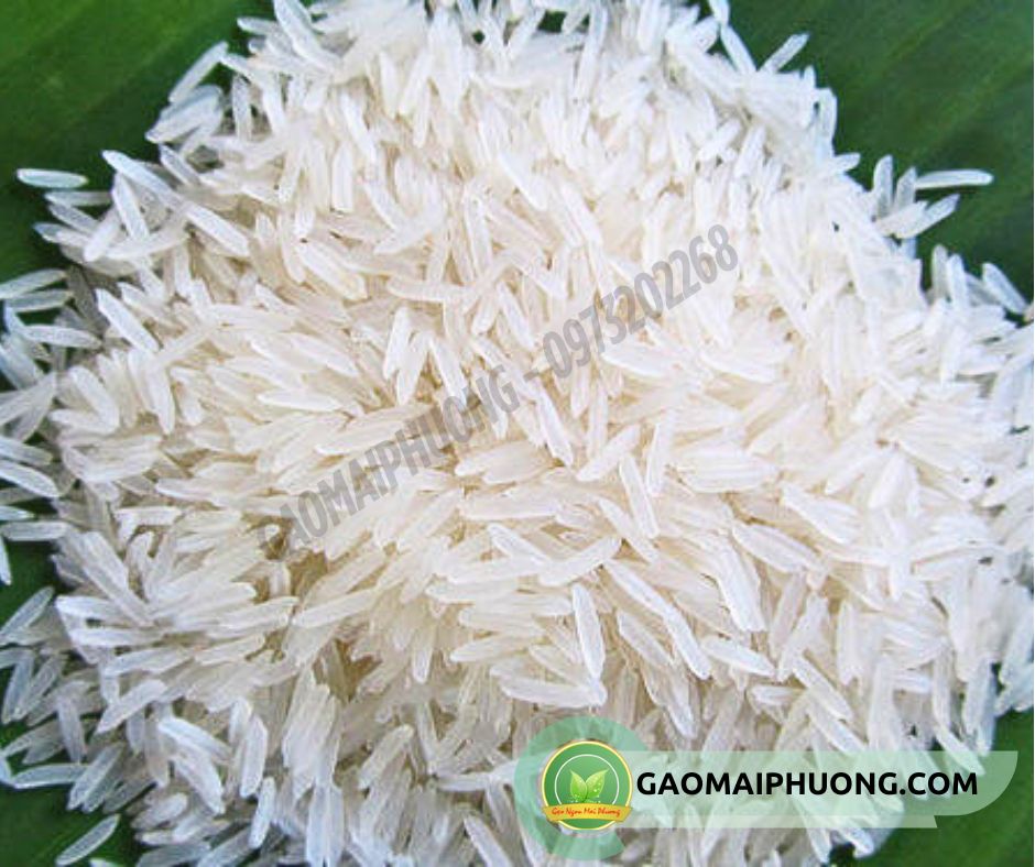 gao tam thai lan gạo tám thái lan