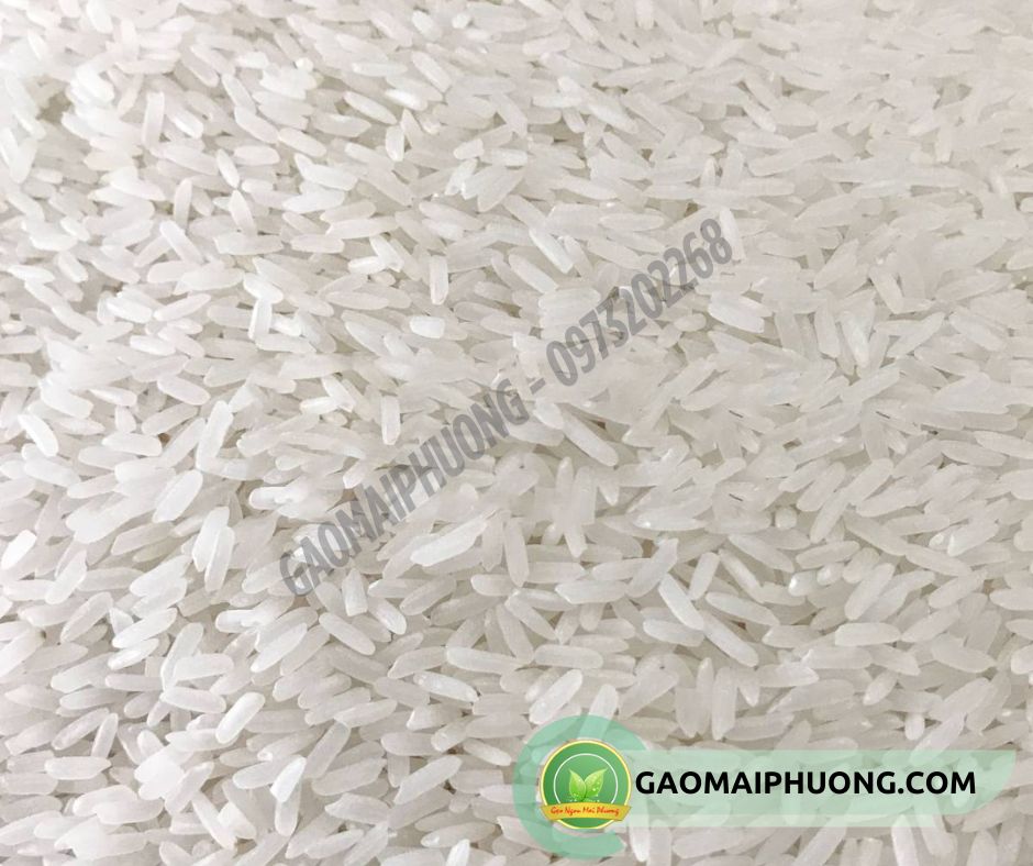 gao thai lan nhap khau gạo thái lan nhập khẩu