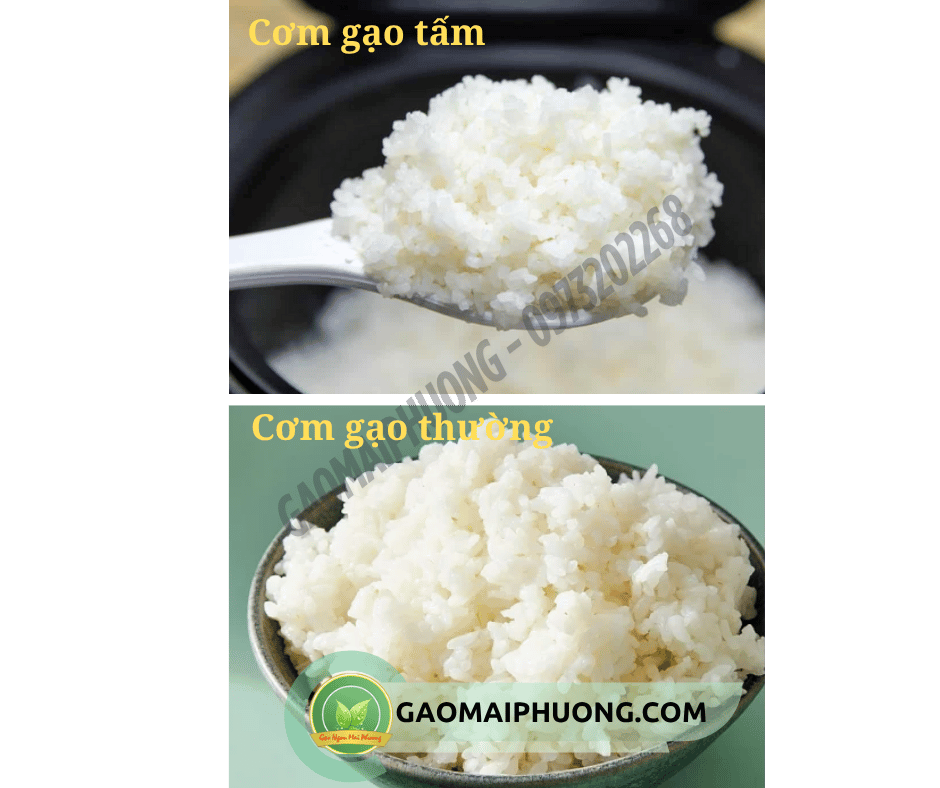 So sánh cơm gạo tấm và cơm gạo thường