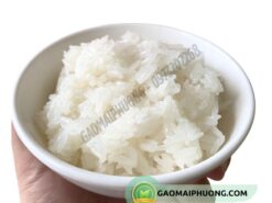 cơm nấu từ gạo nếp thái lan nhập khẩu