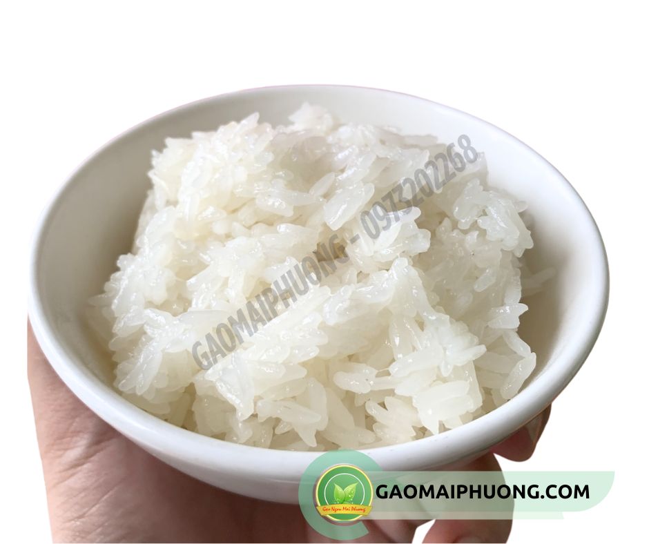 com nau tu gao nep thai lan nhap khau cơm nấu từ gạo nếp thái lan nhập khẩu