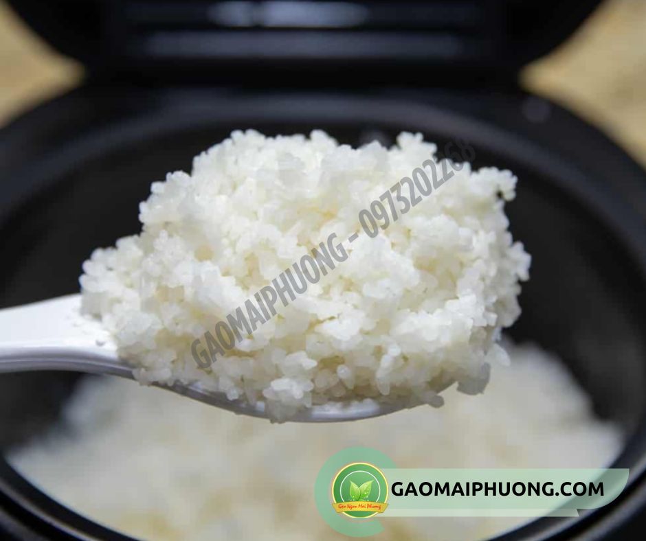 cơm nấu từ gạo tấm