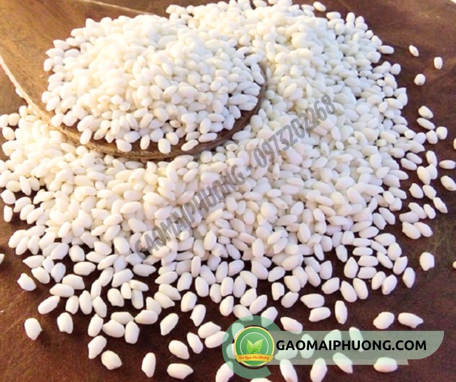 gao nep cai hoa vang hat to may gạo nếp cái hoa vàng hạt to mẩy