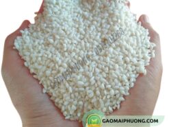 gạo nếp nhung tròn và mẩy