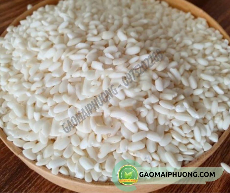 gao nep nhung gạo nếp nhung