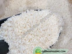 gạo nếp thái lan nhập khẩu