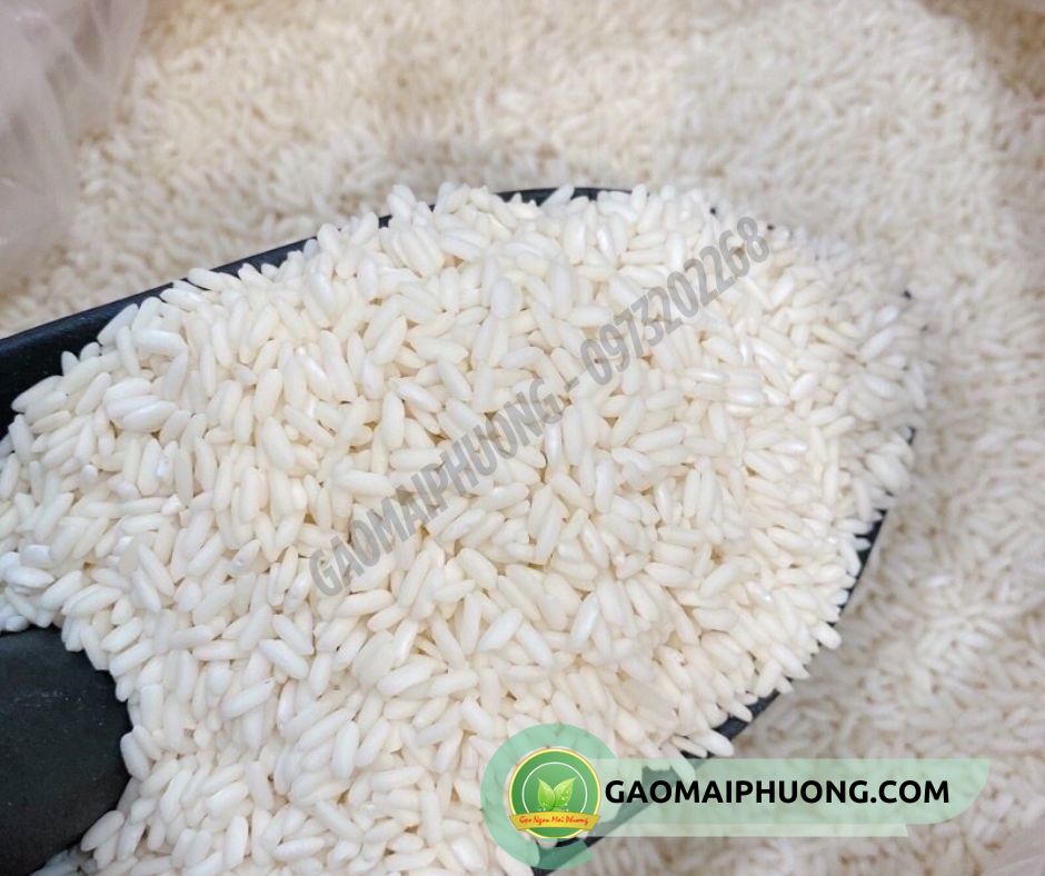 gao nep thai lan nhap khau 2 gạo nếp thái lan nhập khẩu