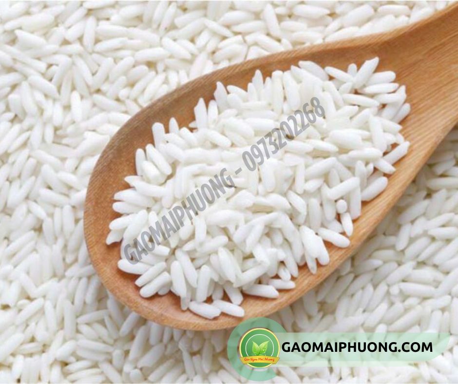 gao nep thai lan nhap khau