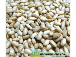 gạo nếp xay nấu rượu