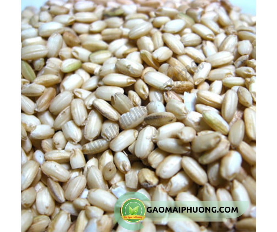 gao nep xay nau ruou gạo nếp xay nấu rượu