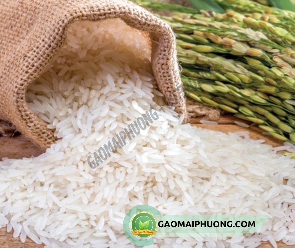 gạo séng cù có nhiều dinh dưỡng tốt
