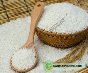 gạo tám xoan
