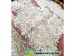 Gạo nếp nương mèo