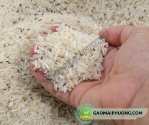 cách bảo quản gạo không bị mọt