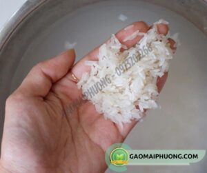 bảo quản gạo ngâm nước đơn giản